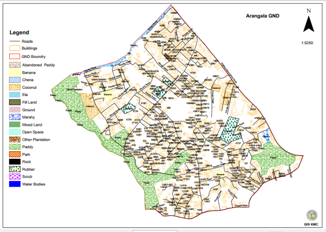 494b arangala