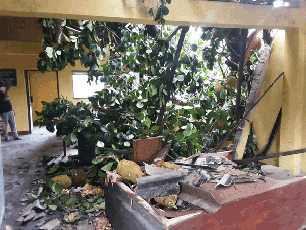 Adverse weather conditions and floods affected 11 Grama Niladhari Divisions