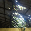 Adverse weather conditions and floods affected 11 Grama Niladhari Divisions