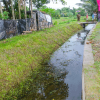 Development Programs 2021 ( නව සංවර්ධන වැඩසටහන් 2021 )