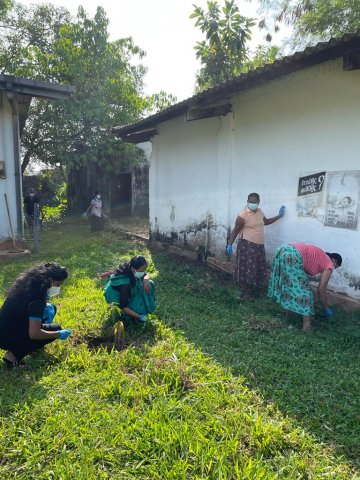 Planting Project in Kaduwela Division
