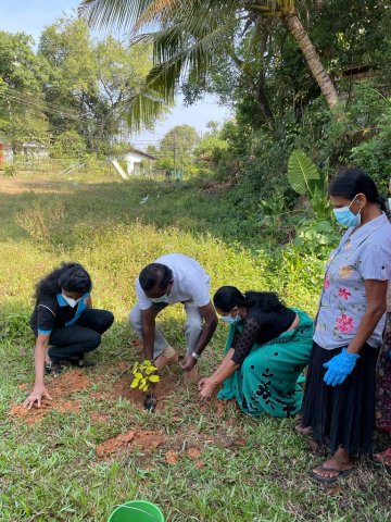Planting Project in Kaduwela Division