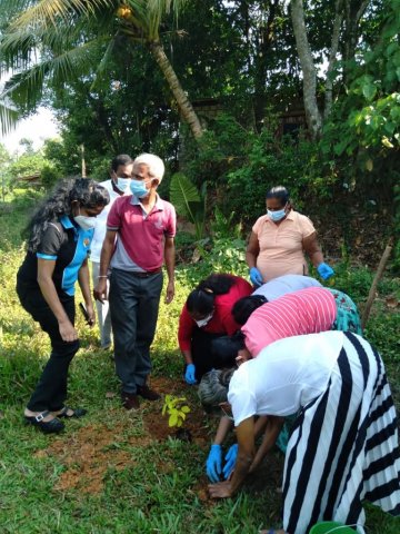 Planting Project in Kaduwela Division