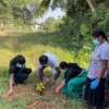 Planting Project in Kaduwela Division