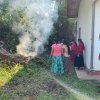 Planting Project in Kaduwela Division